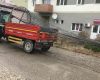 Bradul de Craciun a ajuns in centrul orasului Moldova Noua!