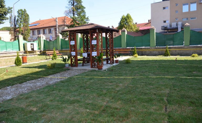 Iarba verde de la ... Doda